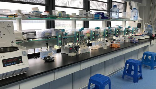 早篩創新與科技融合，天浚元生生物獲國高生物戰投，領跑教育科技軟件研發新賽道