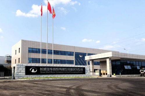 皮卡進城 下一個十年的城市解藥？重慶解禁的市場啟示錄