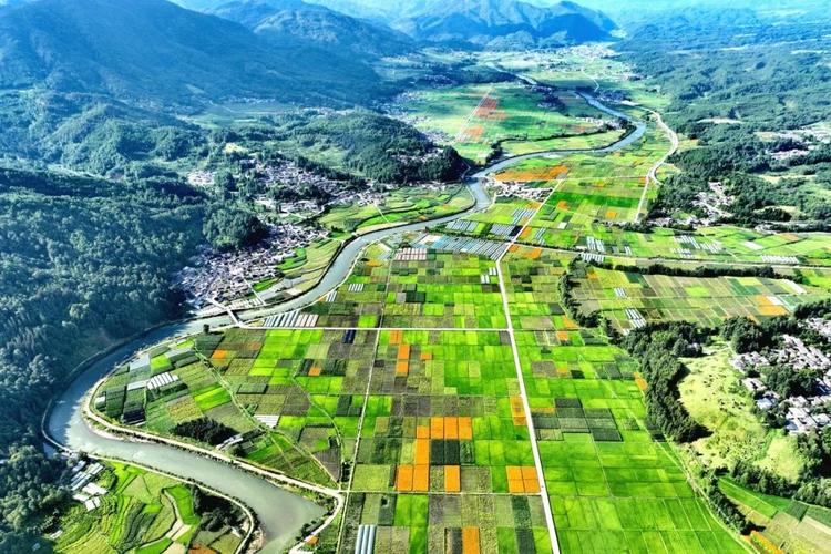 解碼生態振興密碼 繪就綠色發展新圖景